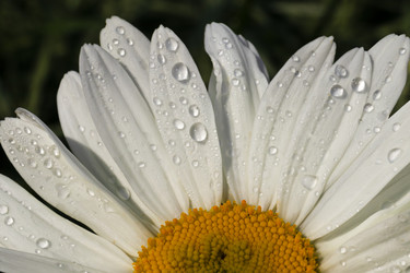 Similar image 21053557