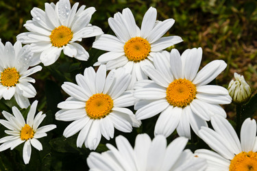 Similar image 21053558