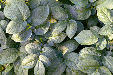 Similar image 21053559