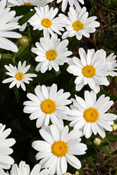 Similar image 21053561