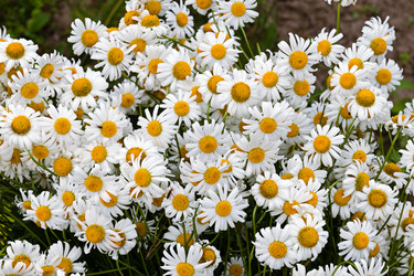 Similar image 21053562