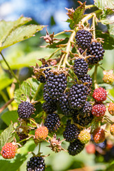 Similar image 21053565