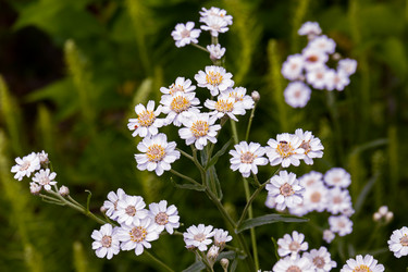 Similar image 21053566