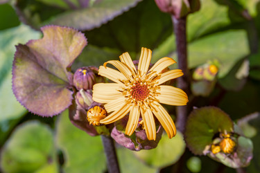 Similar image 21053571