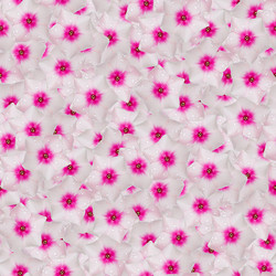 Similar image 21053572