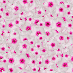 Similar image 21053574