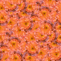 Similar image 21053904