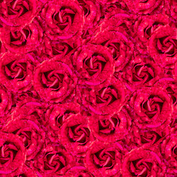 Similar image 21053905