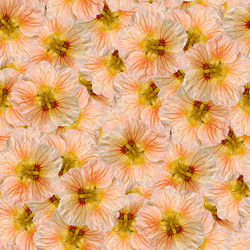 Similar image 21053909