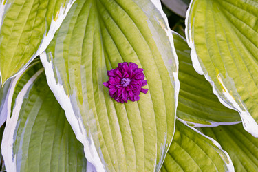 Similar image 21053911