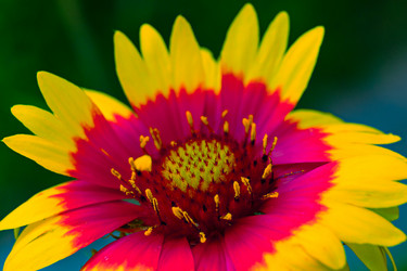 Similar image 21053912