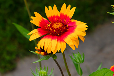 Similar image 21053913