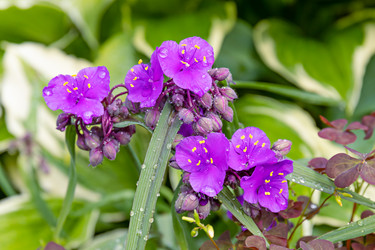 Similar image 21053914