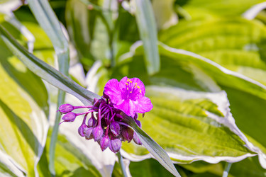 Similar image 21053915