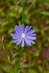 Similar image 21053916