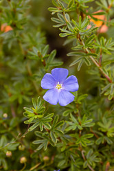 Similar image 21053917