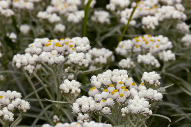 Similar image 21053918