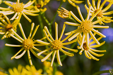 Similar image 21053919