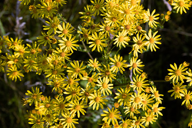 Similar image 21053920