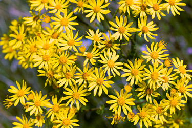 Similar image 21053922