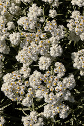 Similar image 21053923