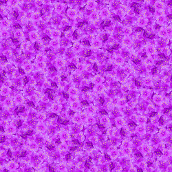 Similar image 21053924