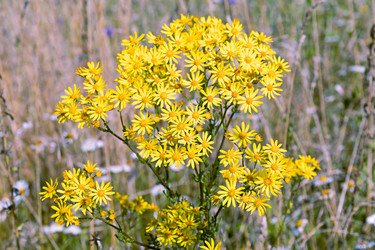 Similar image 21053931