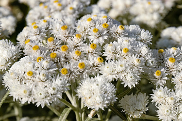 Similar image 21053934