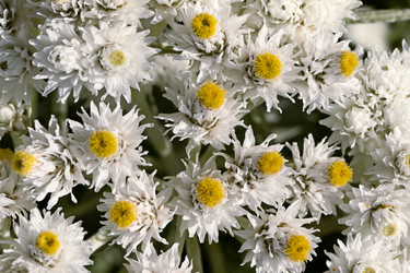 Similar image 21053935