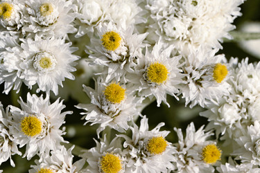 Similar image 21053936