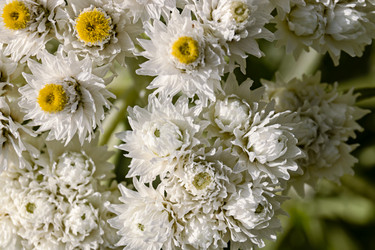 Similar image 21053937