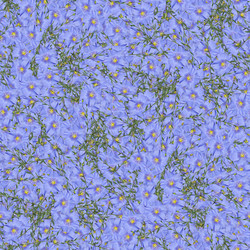 Similar image 21053942