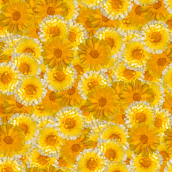 Similar image 21053943