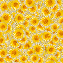 Similar image 21053944