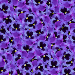 Similar image 21053946