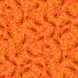 Similar image 21053948