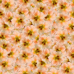 Similar image 21053949