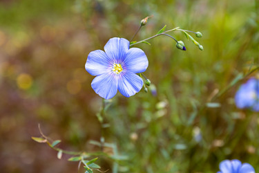 Similar image 21053951