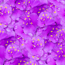 Similar image 21053952