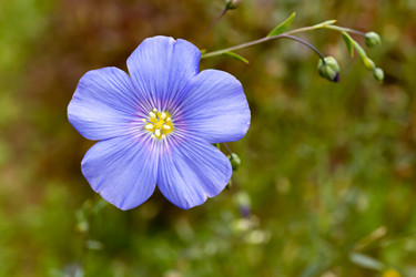 Similar image 21053953