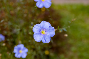 Similar image 21053954