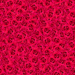 Similar image 21055429