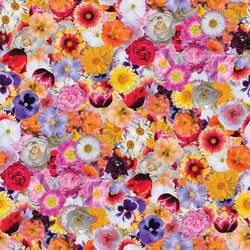 Similar image 21041561