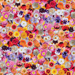 Similar image 21041563