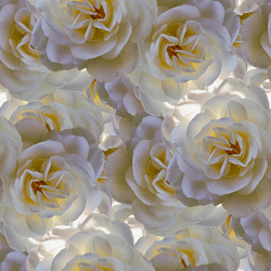 Similar image 21041568