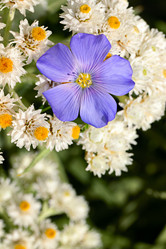 Similar image 21041572