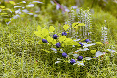 Similar image 21041574