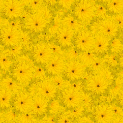 Similar image 21041575