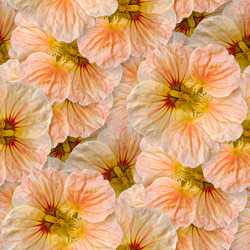 Similar image 21041576