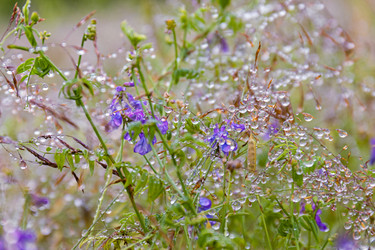 Similar image 21041577